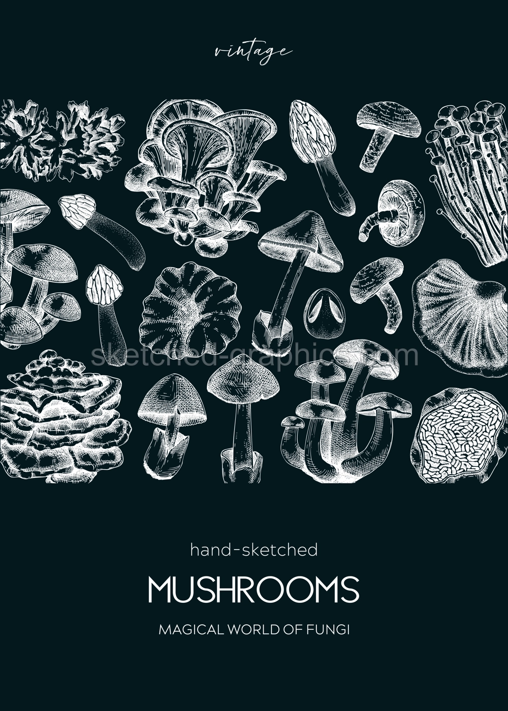 Mushroom hand drawn illustration on chalkboard. Autumn forest trendy background for recipe, menu, card, package, packaging, print. Vintage mushroom sketches. Botanical vector design tempalte Illustration